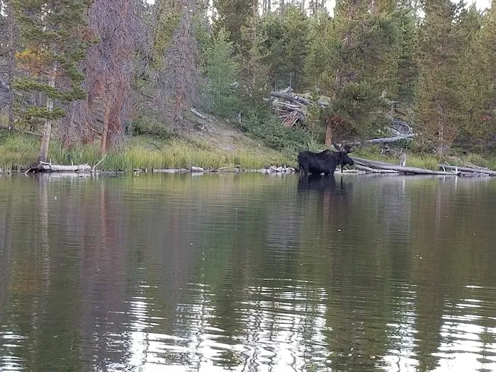 West Marsh Lake Campground Picture 3