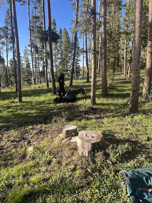 East Marsh Lake Campground Picture 7