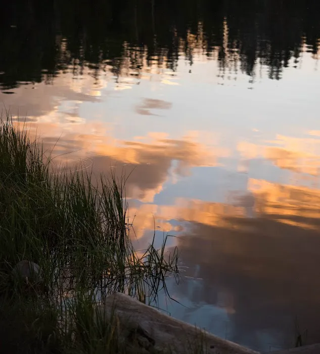 East Marsh Lake Campground Picture 4