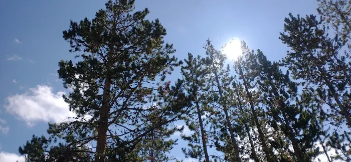 East Marsh Lake Campground Picture 2