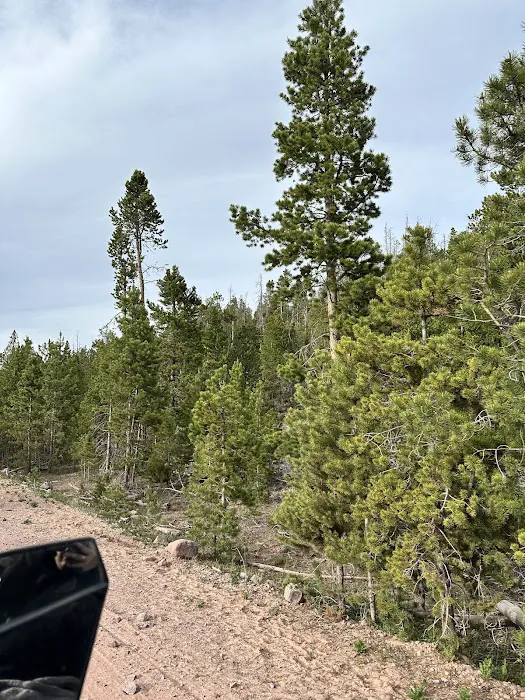 East Marsh Lake Campground Picture 6