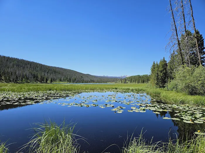 Bridger Lake Campground Picture 6