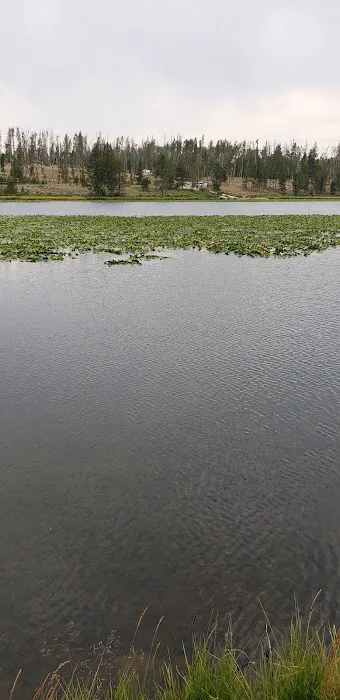 Bridger Lake Campground Picture 3