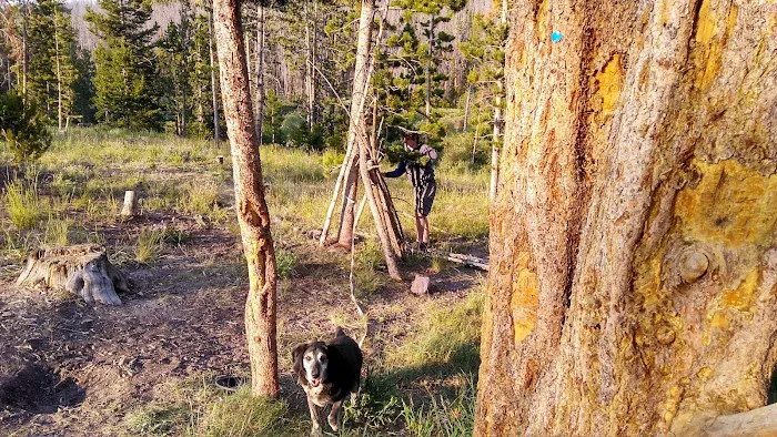 Bridger Lake Campground Picture 8