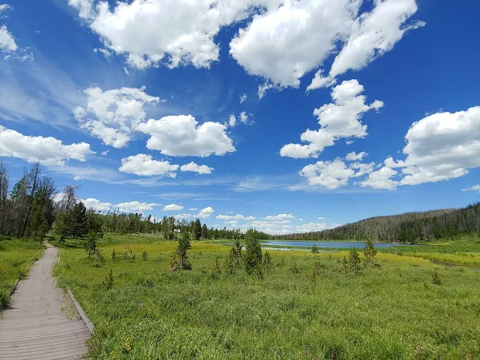 Bridger Lake Campground Picture 4