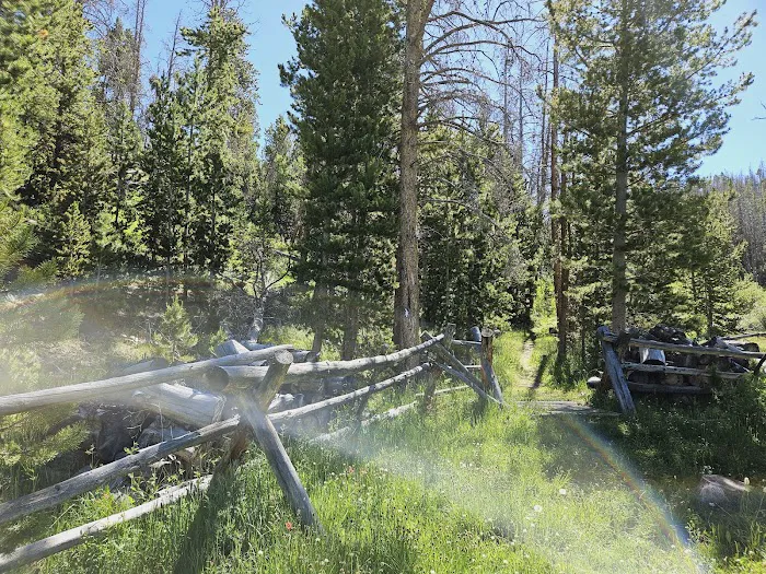 Bridger Lake Campground Picture 7