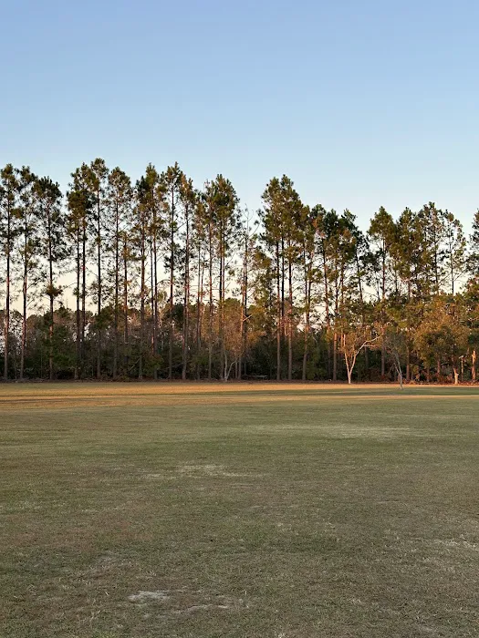 Pecans and Pines RV Park Picture 3