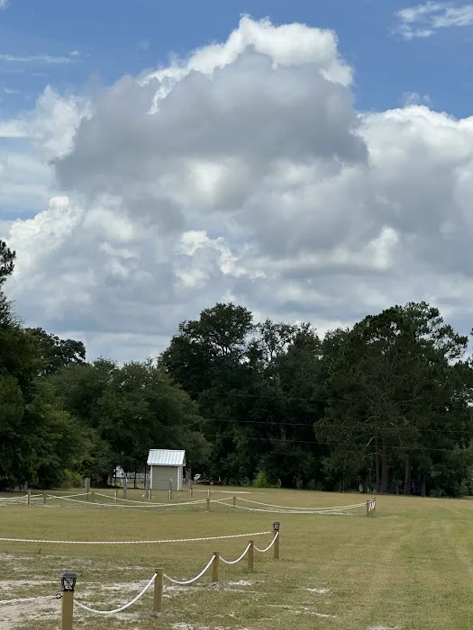 Pecans and Pines RV Park Picture 5