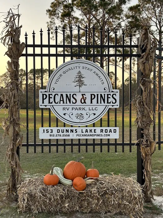 Pecans and Pines RV Park Picture 7