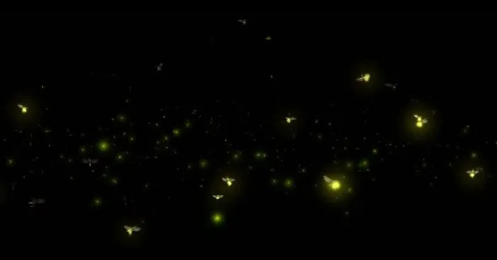 Small Living RV Park Picture 1