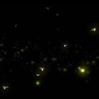 Small Living RV Park ico