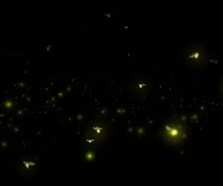 Small Living RV Park