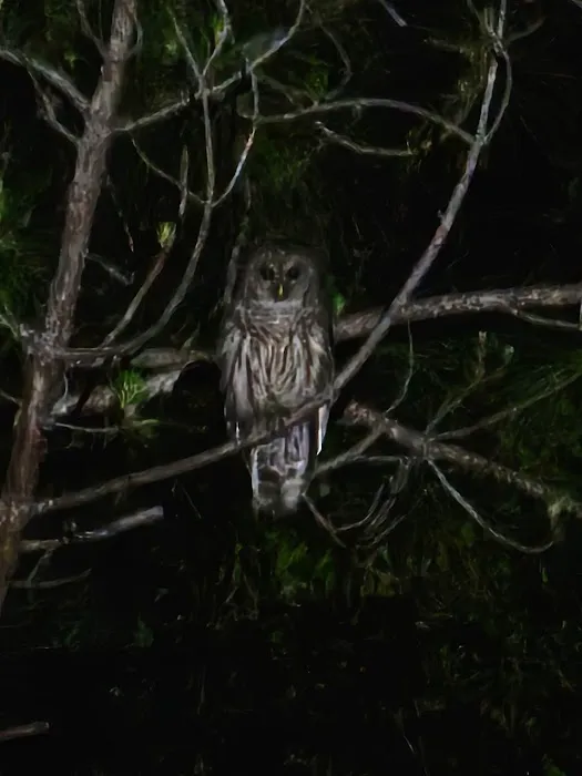 Small Living RV Park Picture 7