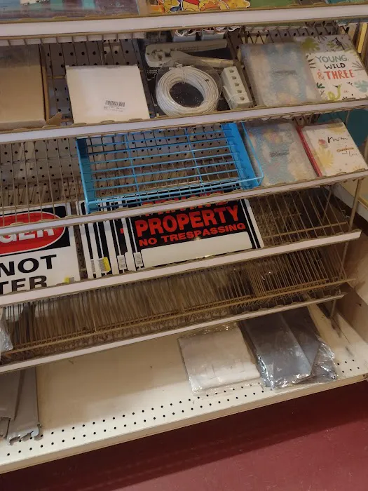 Pinn Willies Picture 4