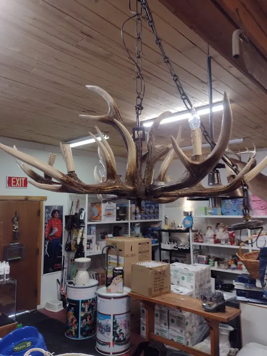 Pinn Willies Picture 1