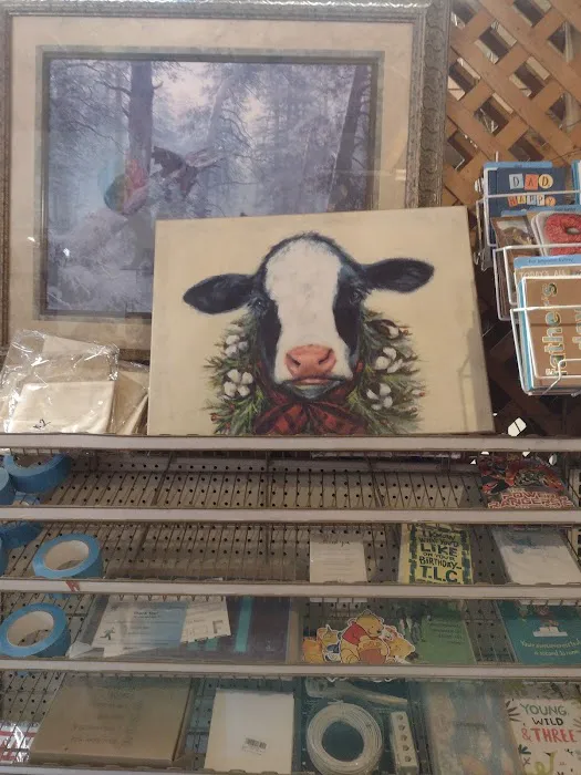 Pinn Willies Picture 7