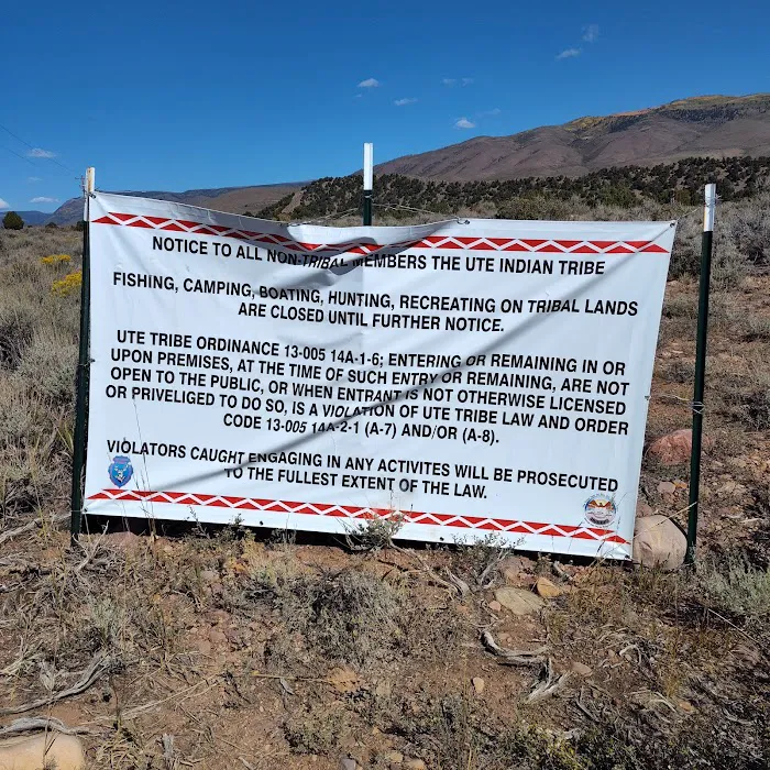 Wandin Campground Picture 3