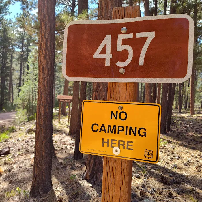 Wandin Campground Picture 1