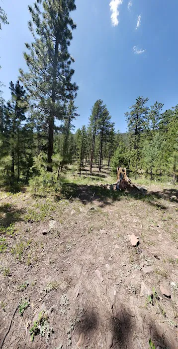 Wandin Campground Picture 4