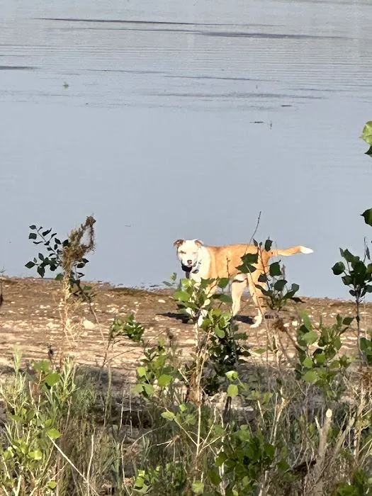 Knight Hollow Campground Picture 1