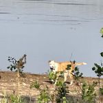 Knight Hollow Campground