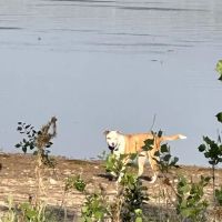 Knight Hollow Campground ico