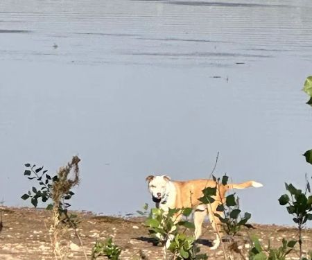 Knight Hollow Campground