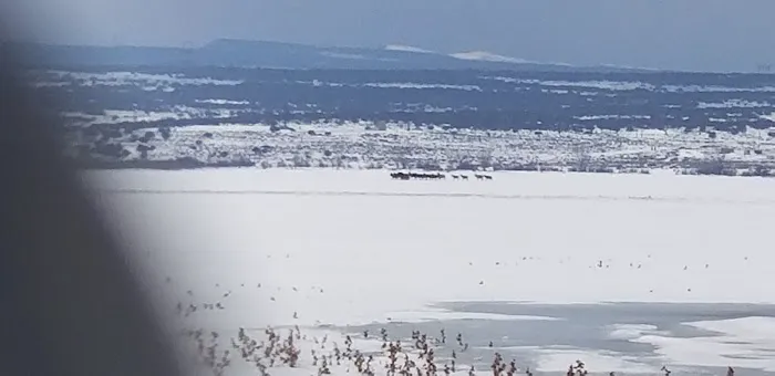 Knight Hollow Campground Picture 6