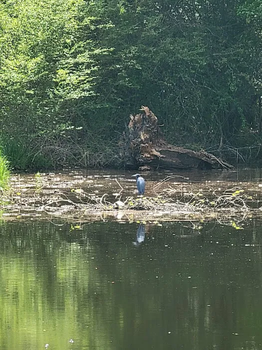 Woodland RV Resort & Campground Picture 4