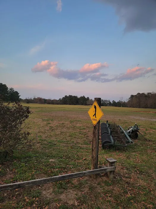 Woodland RV Resort & Campground Picture 9