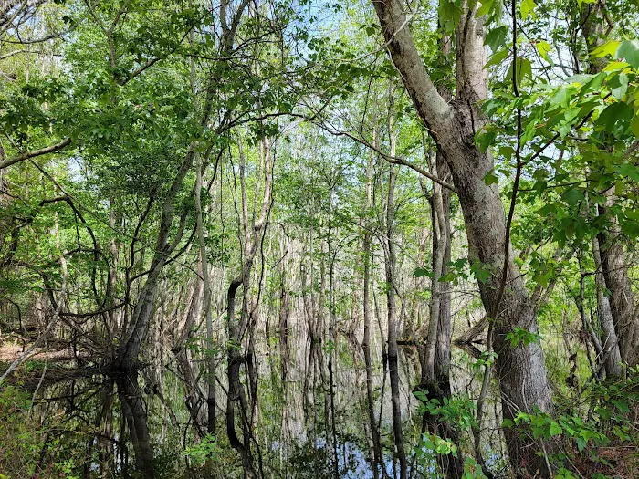 Woodland RV Resort & Campground Picture 7