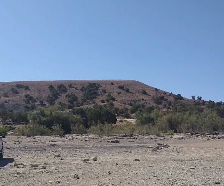 Juniper Point Campground