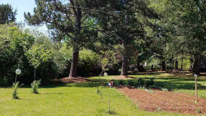 Ramsey RV Park Picture 3