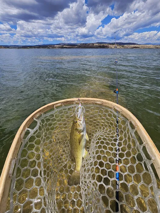 Indian Bay Campground Picture 7