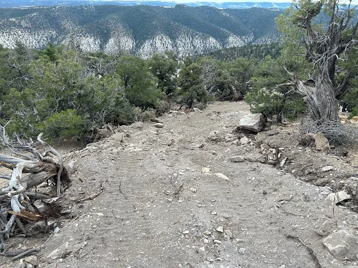 Wilderness Camp Picture 2