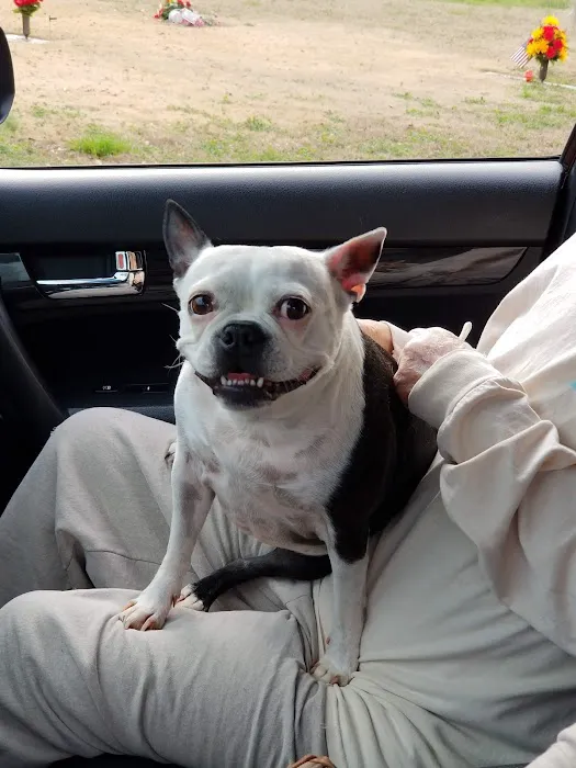 Chattahoochee R.V.park Picture 6