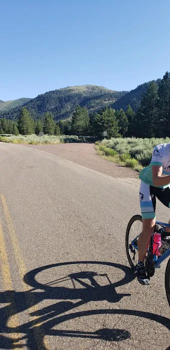 Uinta River Group Campground Picture 2
