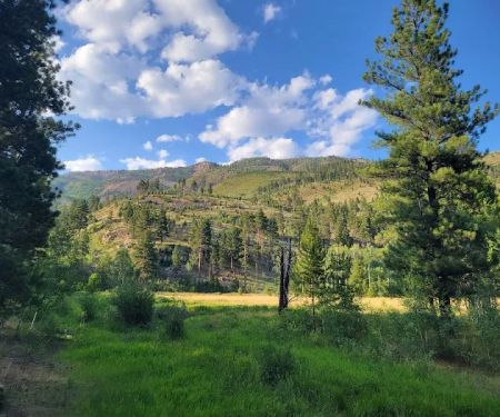 Uinta River Group Campground
