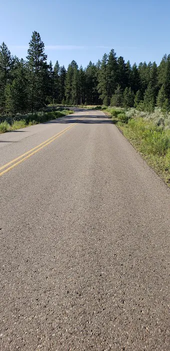 Uinta River Group Campground Picture 3