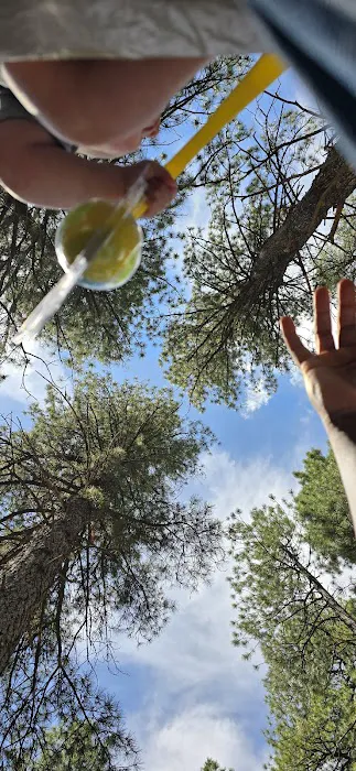 Uinta River Group Campground Picture 7