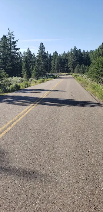 Uinta River Group Campground Picture 6
