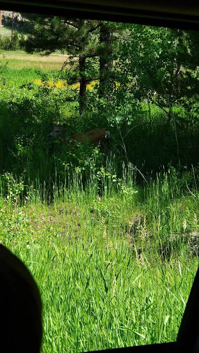 Uinta River Group Campground Picture 9