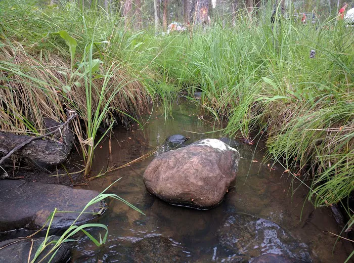 Uinta Canyon Campground Picture 10