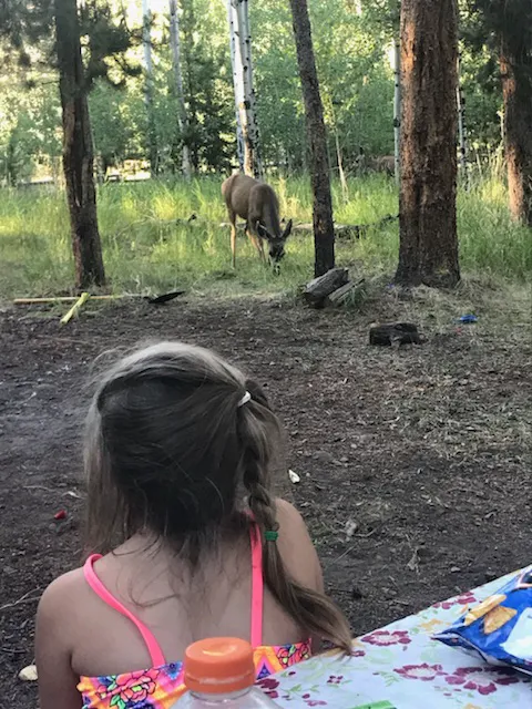 Uinta Canyon Campground Picture 3