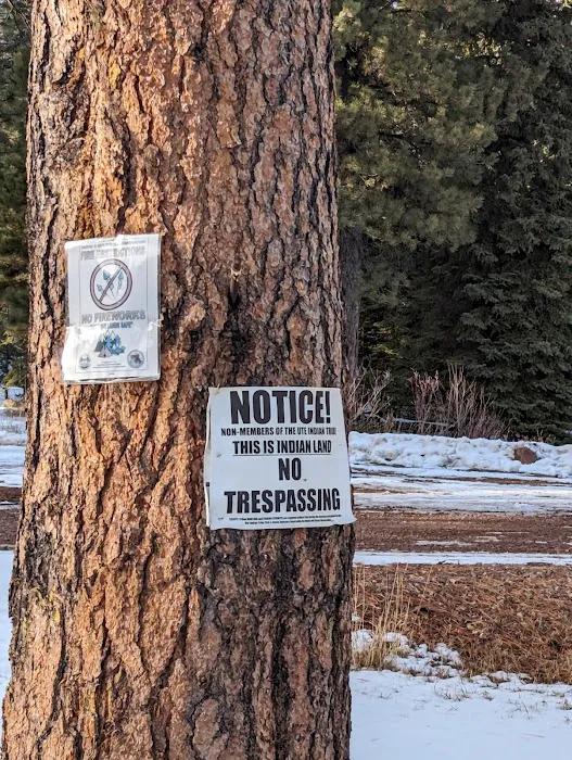 Big Springs Campground Picture 4