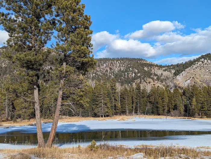 Big Springs Campground Picture 2