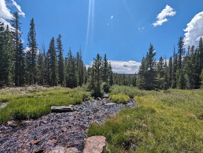 Pole Creek Lake Campground Picture 9