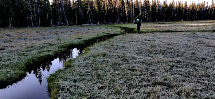 Pole Creek Lake Campground Picture 8