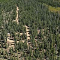 Pole Creek Lake Campground ico