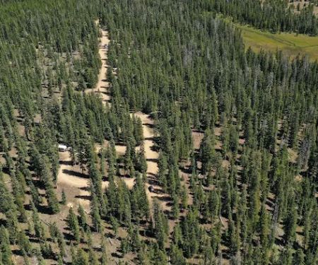 Pole Creek Lake Campground